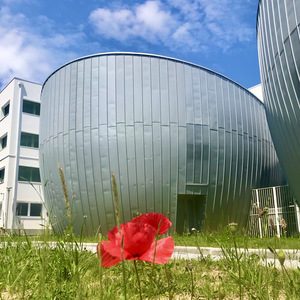 ILFOMER - Institut des Sciences de la Réadaptation - Université de Limoges