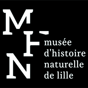 Musée d