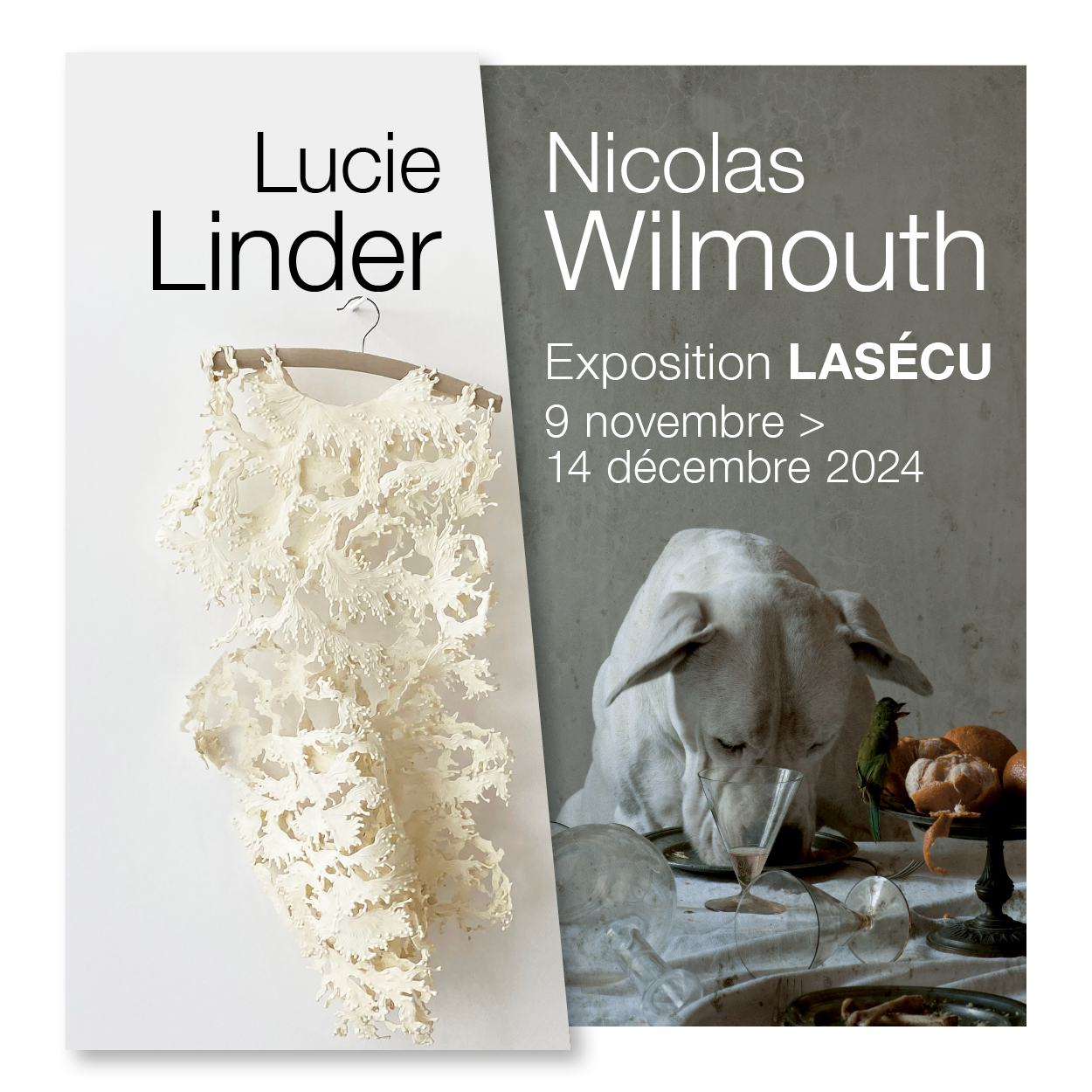 Exposition de Lucie Linder et Nicolas Wilmouth Du 9 nov au 14 déc 2024