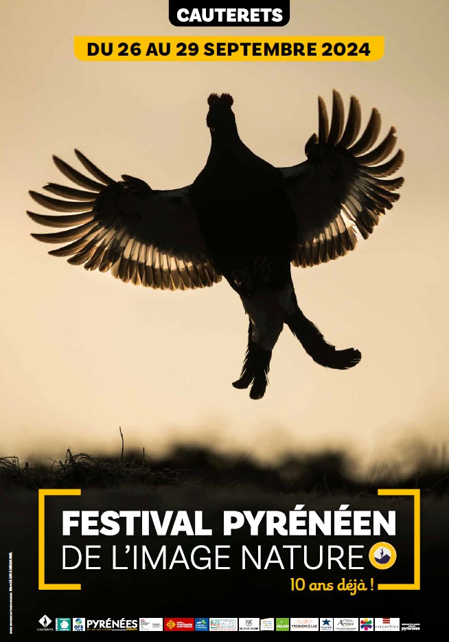 Festival pyrénéen de l