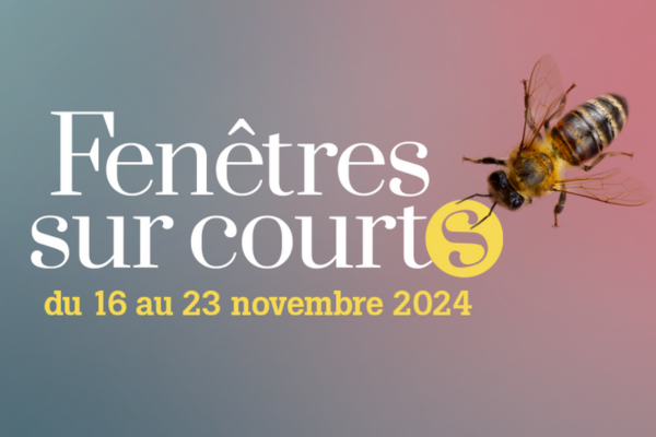 Courts-métrages étudiants Festival Fenêtres... Le 19 nov 2024