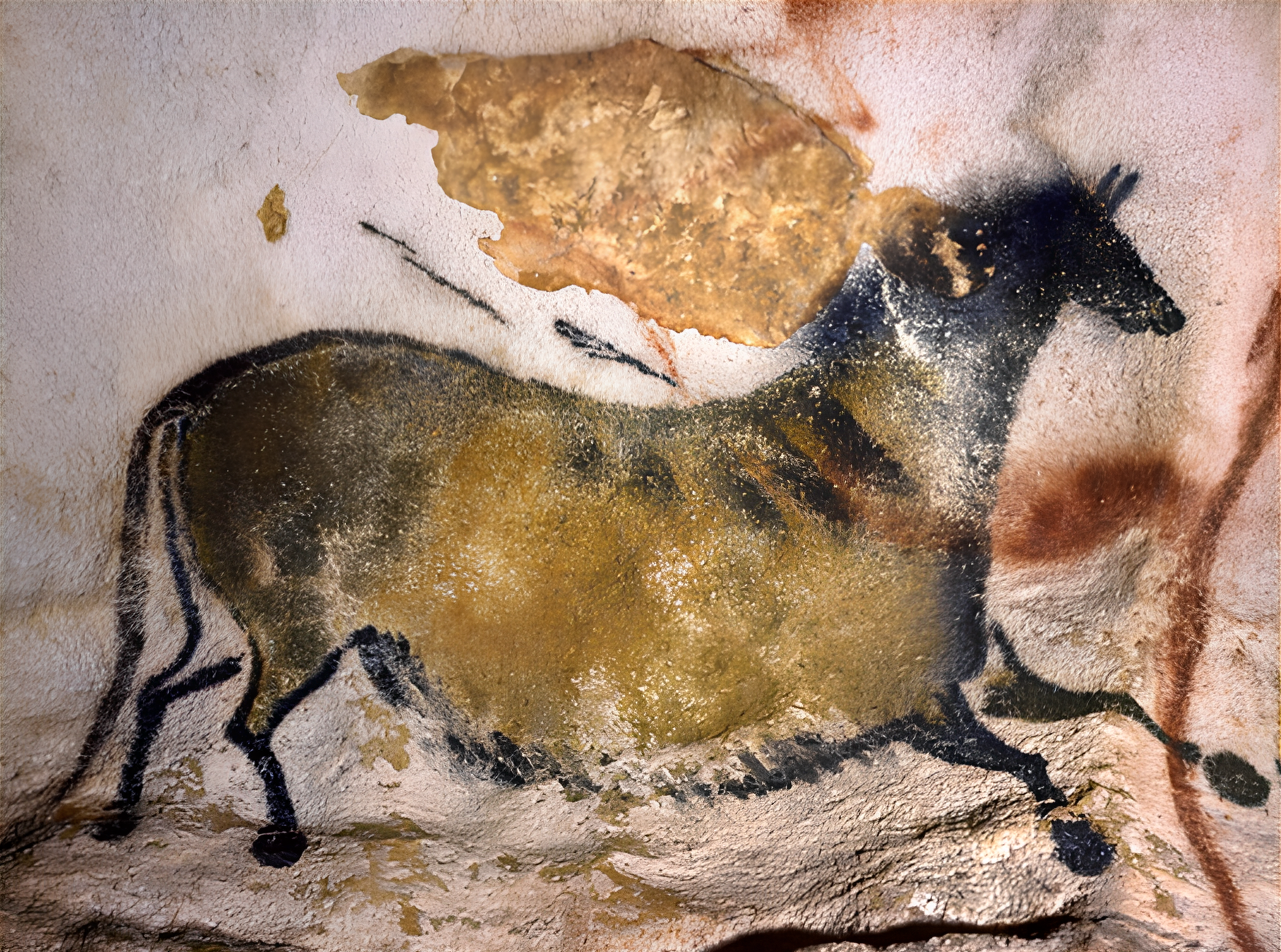 Conférence « Pourquoi Lascaux ? » Le 28 nov 2024